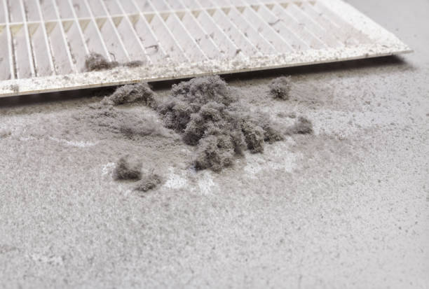 Best Local Air Duct Cleaning Services  in Boston, GA