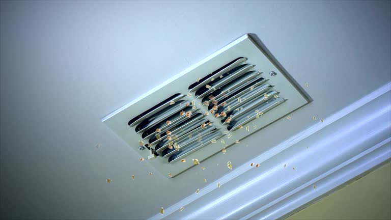Best Air Duct Cleaning Near Me  in Boston, GA
