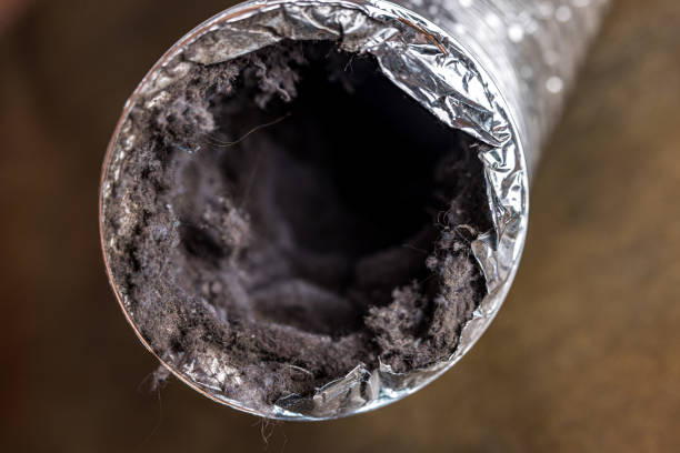 Best HVAC Air Duct Cleaning  in Boston, GA