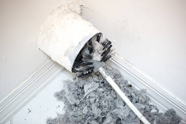 Air Duct Mold Removal in Boston, GA